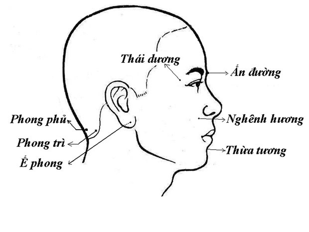 bấm huyệt chữa đau vai gáy