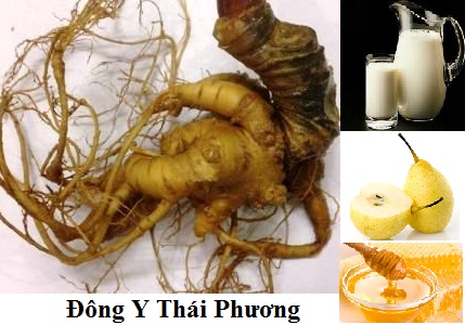 cach che bien sam ngoc linh