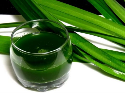 chữa bệnh tiểu đường