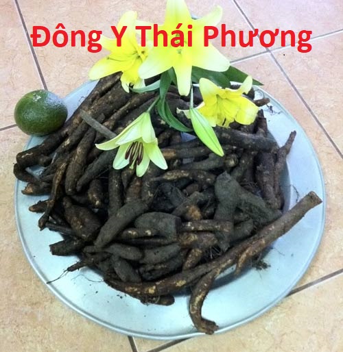 giá củ gai