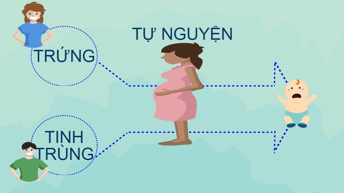 Luật thụ tinh trong ống nghiệm sẽ giúp nhiều gia đình có con như ý muốn