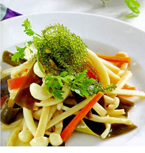 nấm linh chi trắng